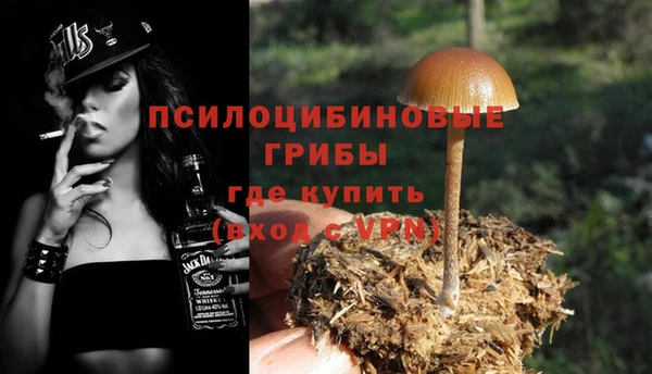 ГАЛЛЮЦИНОГЕННЫЕ ГРИБЫ Алзамай