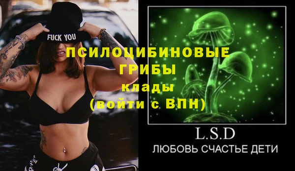 ГАЛЛЮЦИНОГЕННЫЕ ГРИБЫ Алзамай