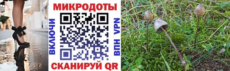 Галлюциногенные грибы мухоморы  Пенза 